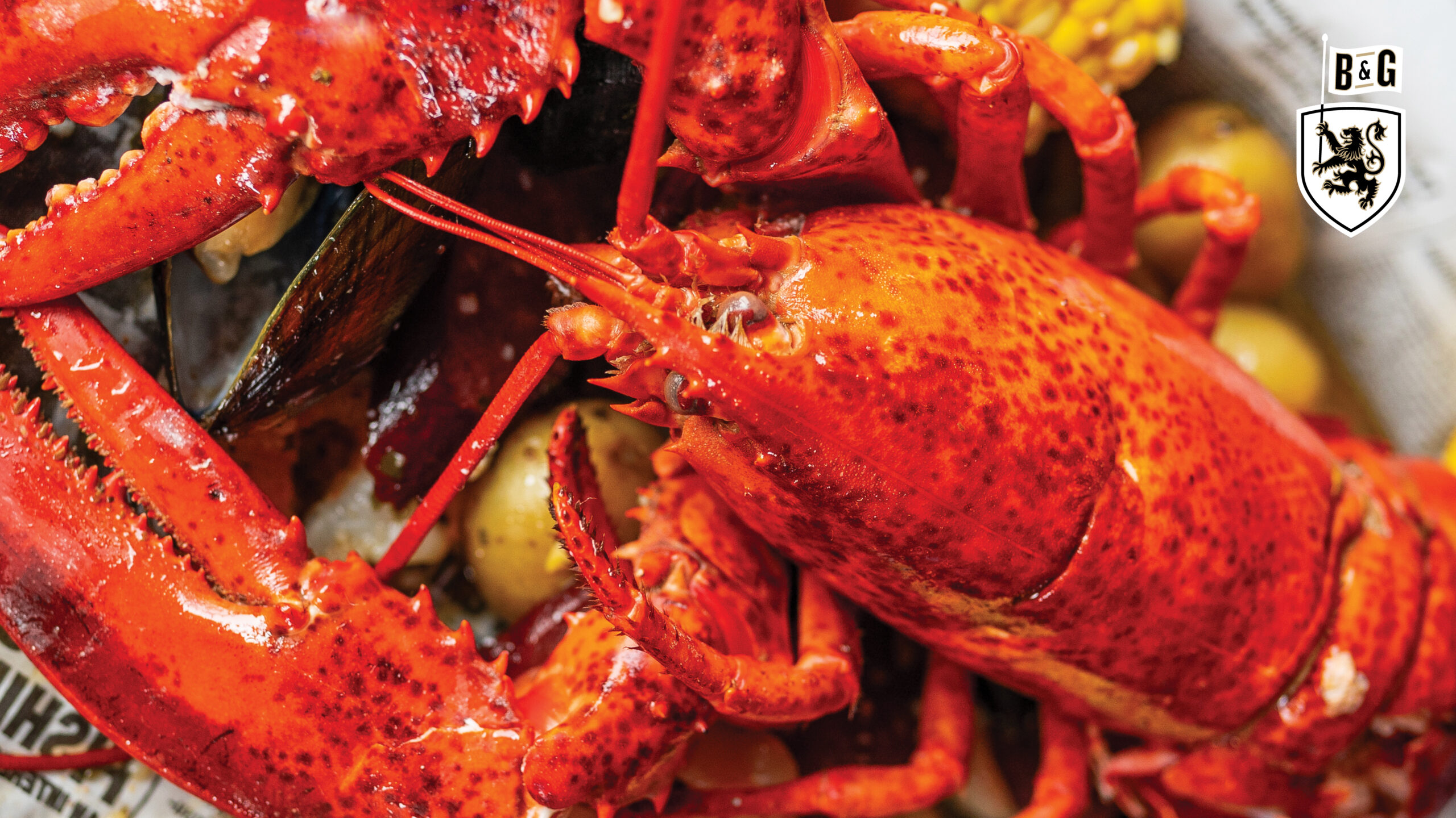 Lobster Dinner | Summer Lobster Boil | Blowers & Grafton